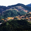 色づく山
