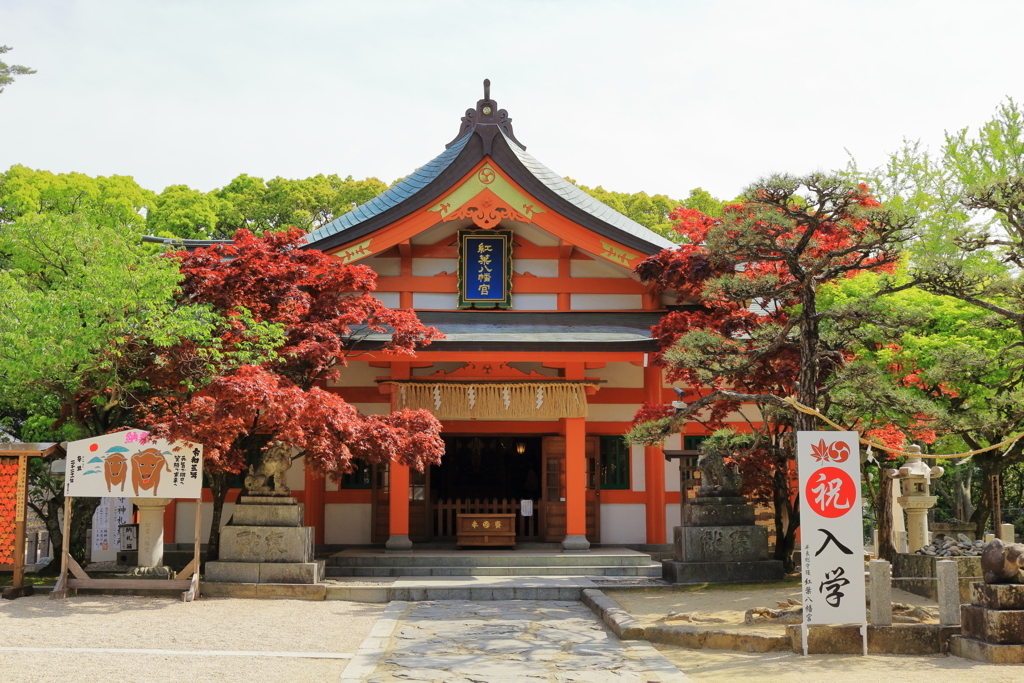 紅葉八幡宮の本殿