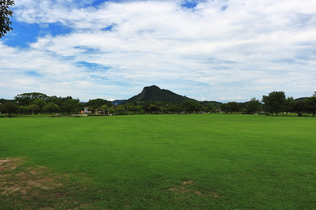 今津運動公園の広場