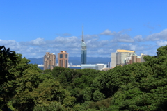 愛宕山の中腹から観た福岡タワー方面の景色