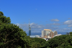 福岡タワーとその上を飛ぶ飛行機