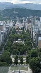 大通り公園