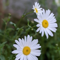 IMG_20210603_020233_004