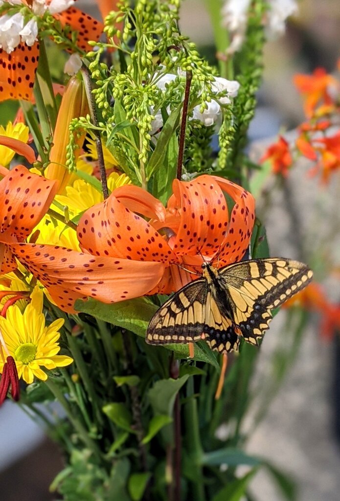 お盆の墓参りで