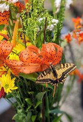 お盆の墓参りで