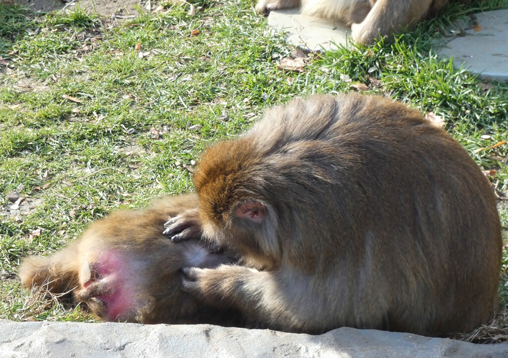 Fotor_160527702469253