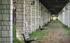 札幌市手稲前田森林公園