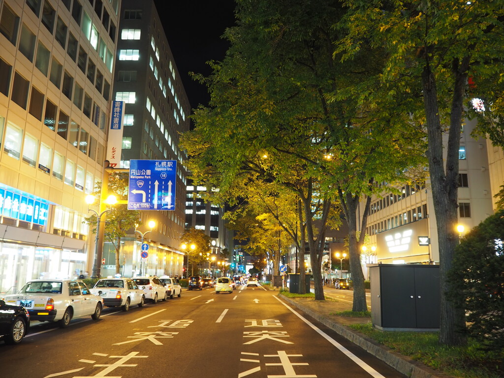 横断歩道から