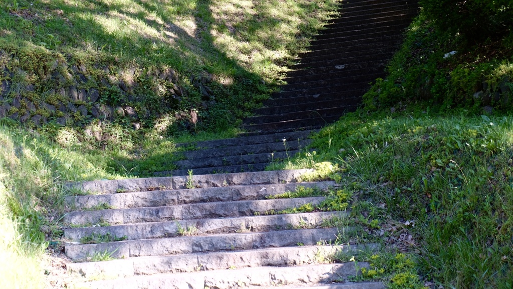 木陰の先は夏の扉