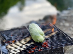 焚き火で蒸し焼き