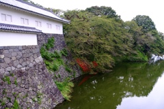 二の丸の彼岸花