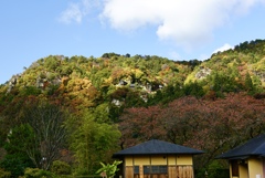 立石寺(山寺)2