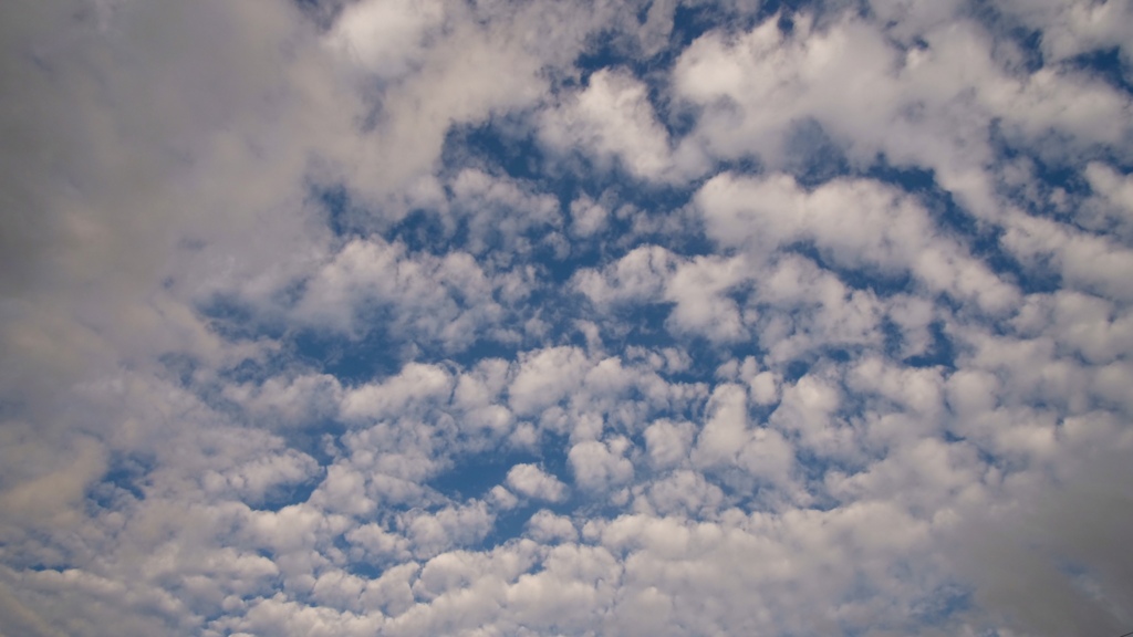 秋の空