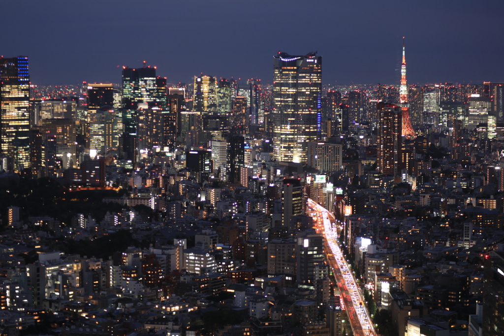 東京の夜景