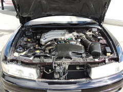 DSCN3141