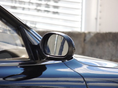 DSCN3101