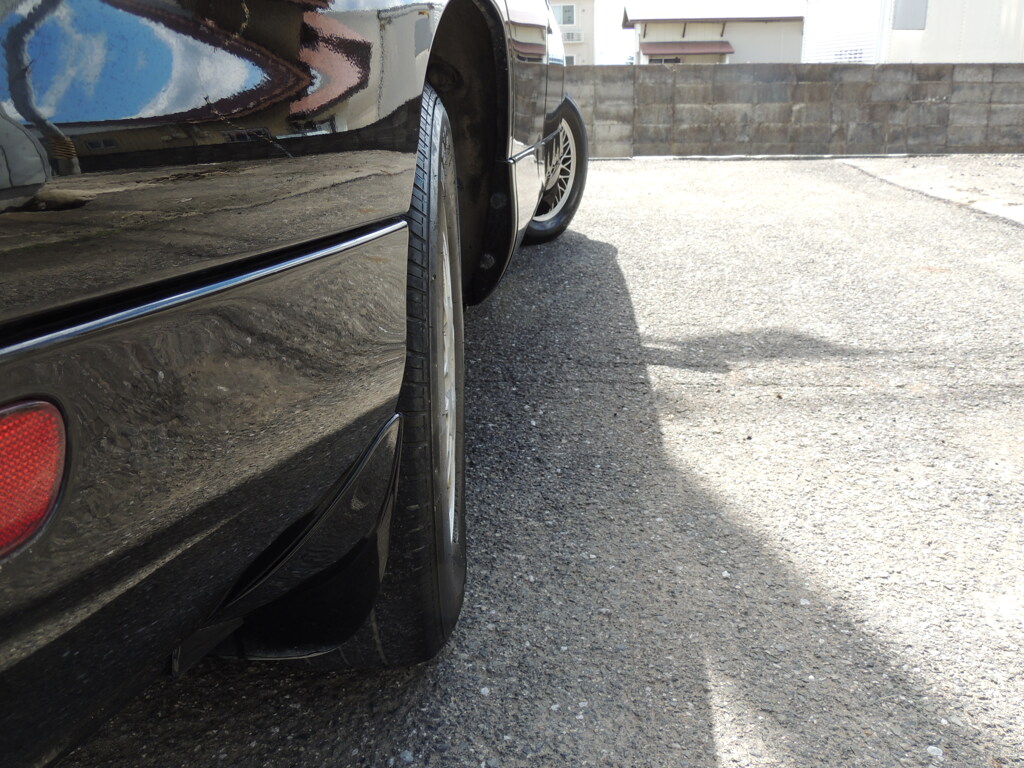 DSCN3147