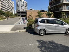 くろだのどか