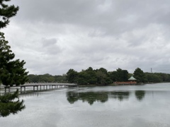 昨日の大濠公園