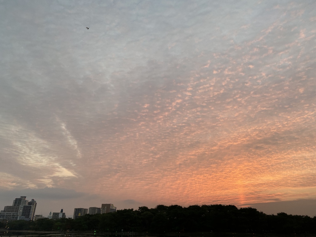 9014D956-47B4-4E18-B3A0-5775351890F6