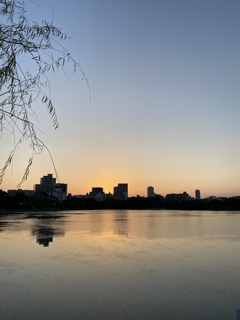 薄暮