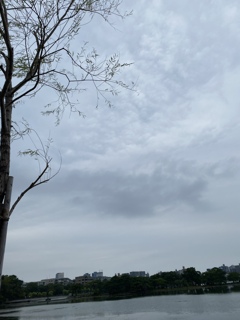 大濠公園