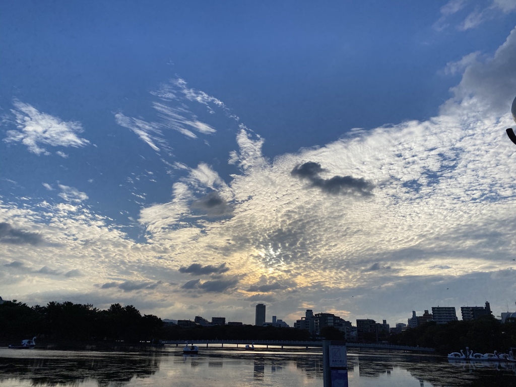 秋の空