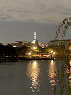 夜の大濠公園