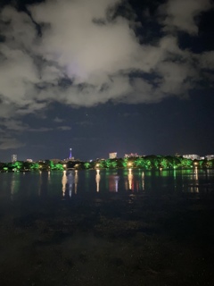 大濠公園夜景