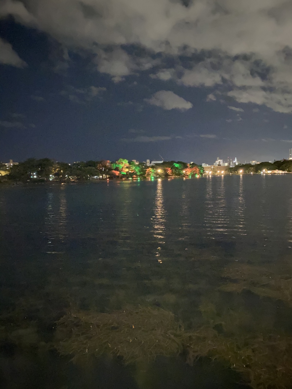 大濠公園夜景