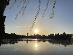 大濠公園