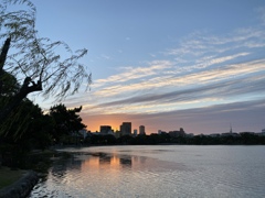 昨日の夕暮れ
