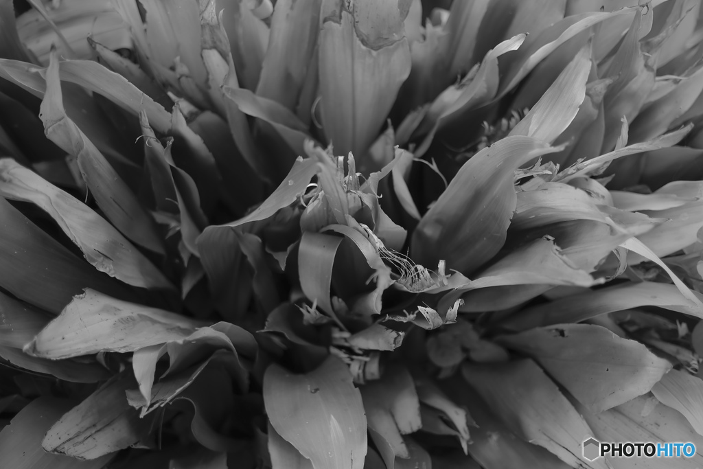 66392D68-3D86-40B7-8832-423C154FD163