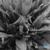 66392D68-3D86-40B7-8832-423C154FD163