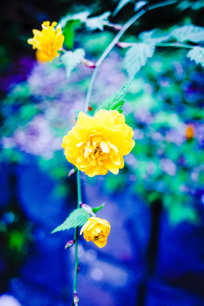 19BA6E6A-B595-4F07-9CB4-A745900464A3