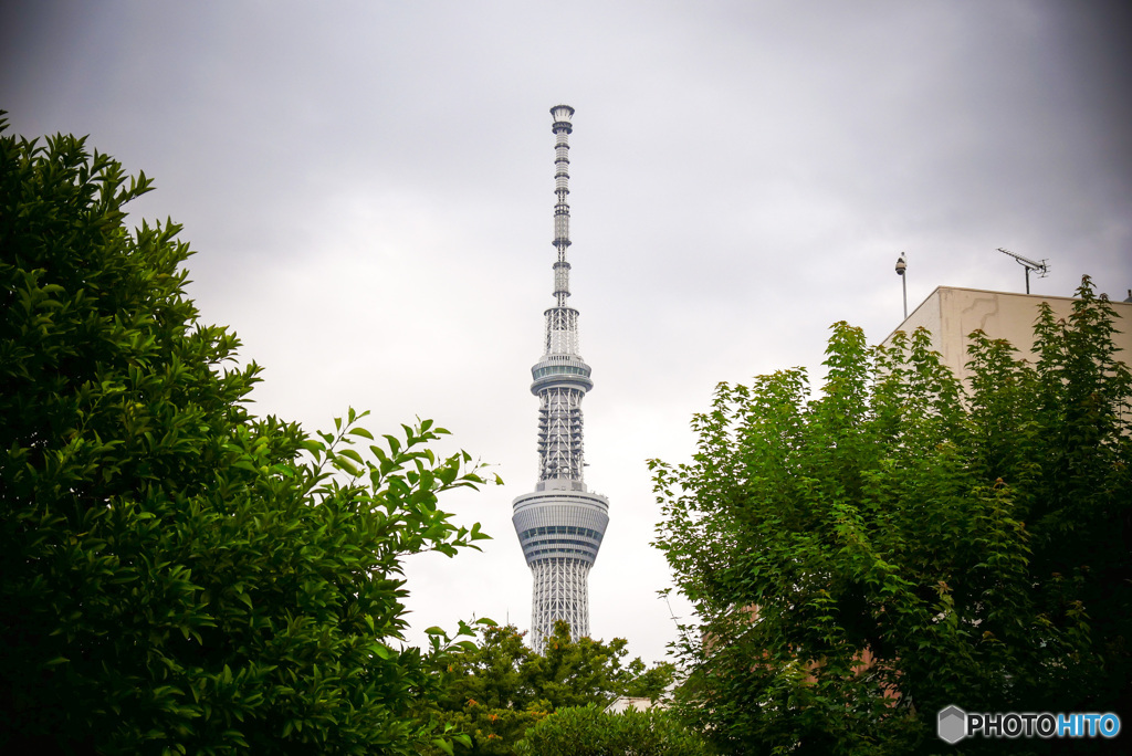 浅草景