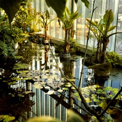 温室池