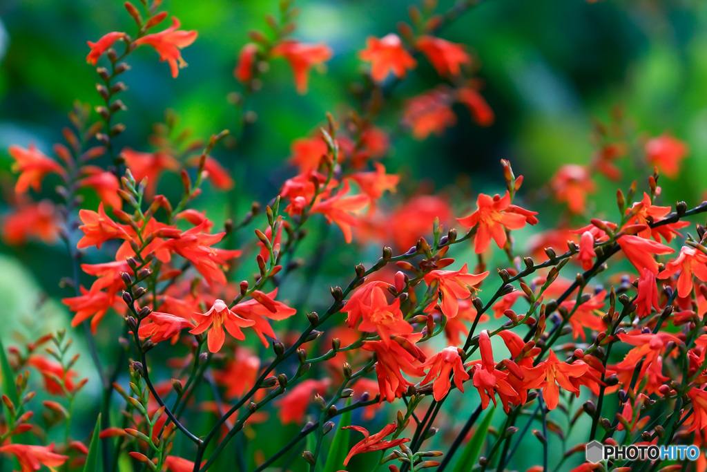 D619EAB3-AEDC-472B-A08F-B989A271B1B3