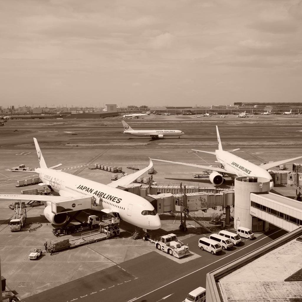 8177D77D-A58A-4A29-AEB1-AA1E2F734F54