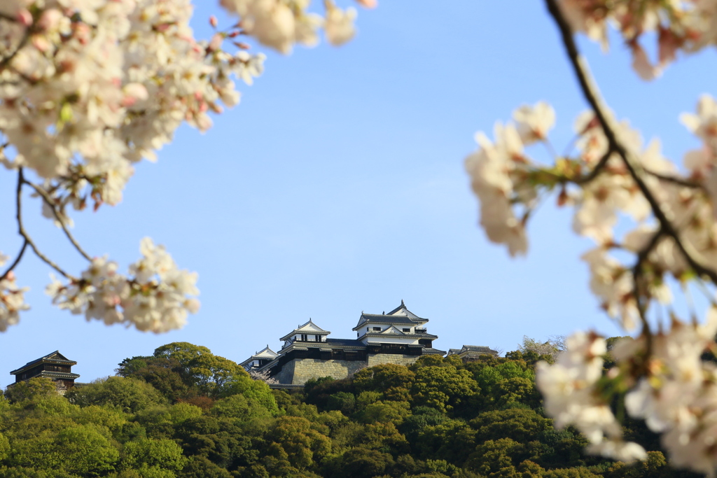 松山城