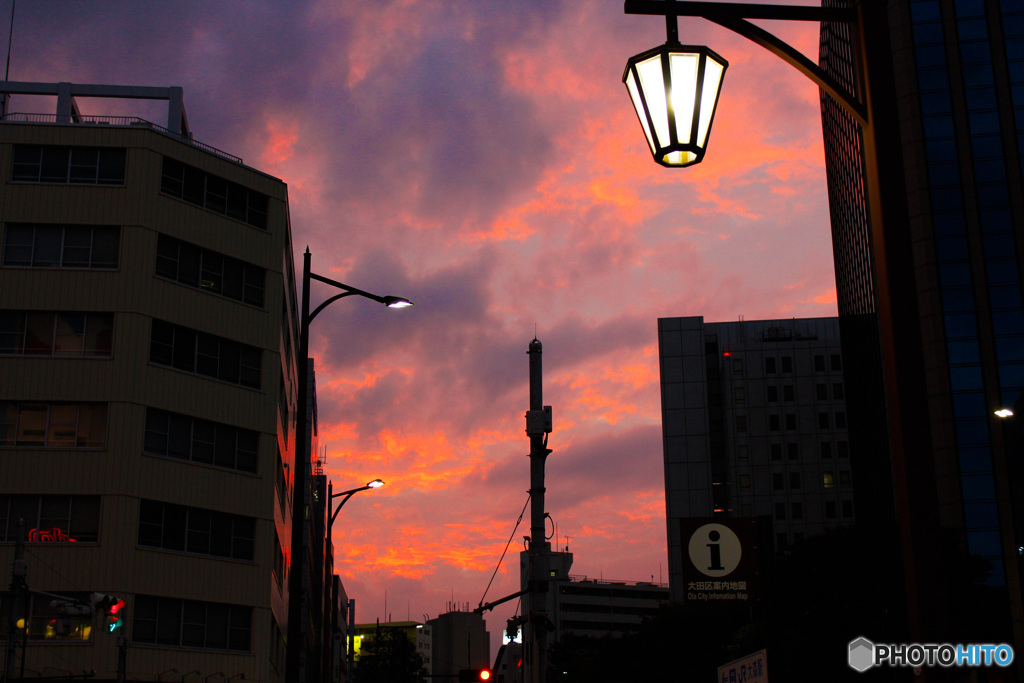 17B4AC75-F822-4B33-8730-0604430DB64F
