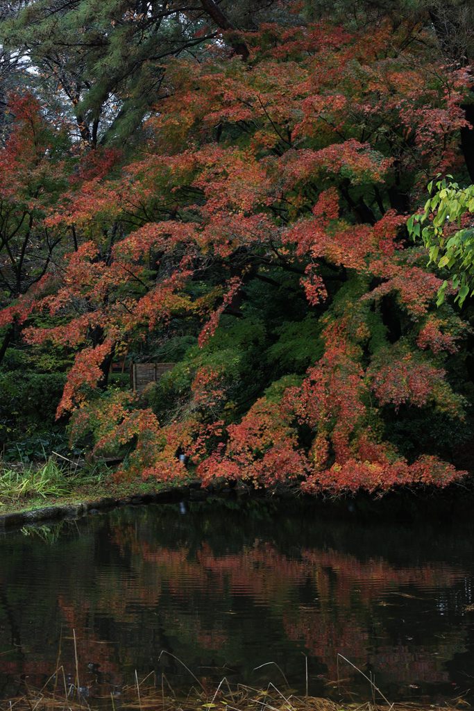 A8DC305B-DDC7-4364-BEBE-5B6C68CDC951