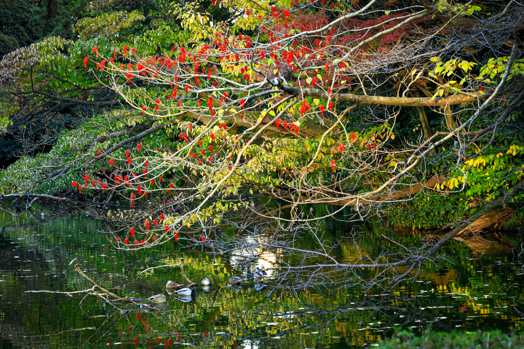 8BDDFB12-36BF-40B6-ADF8-471BE0C5FFA3