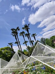 IMG20240502130927~2