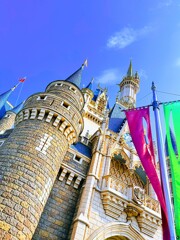 IMG20250705153528~3