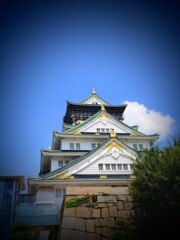 IMG20250820114422~2