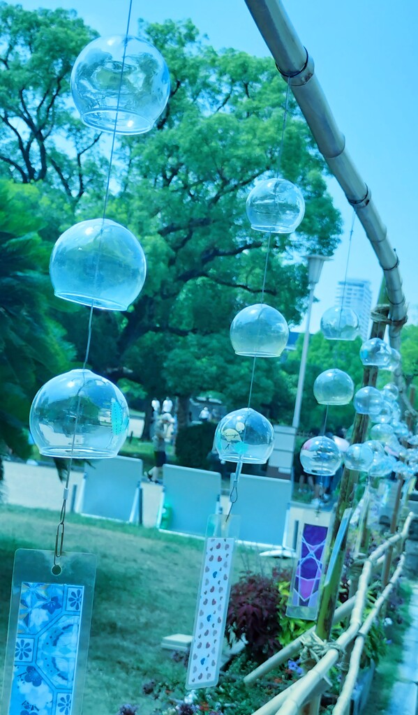IMG20250820120101~2