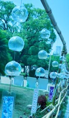 IMG20250820120101~2