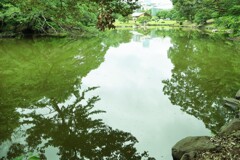 IMG_0141~2