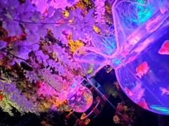 IMG20250728144324~2